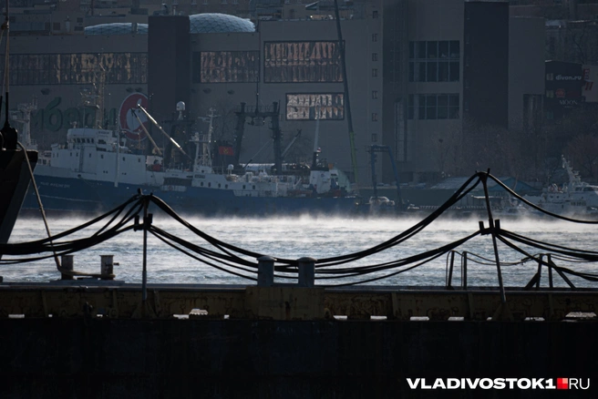 Источник: Елена Буйвол / VLADIVOSTOK1.RU