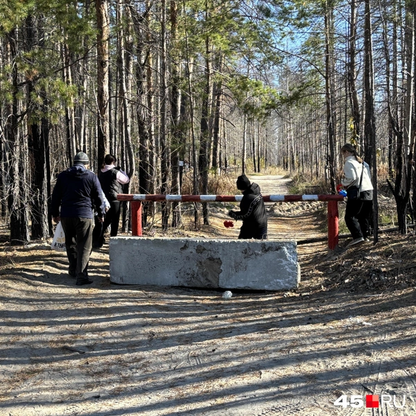 Источник: Кирилл Митин