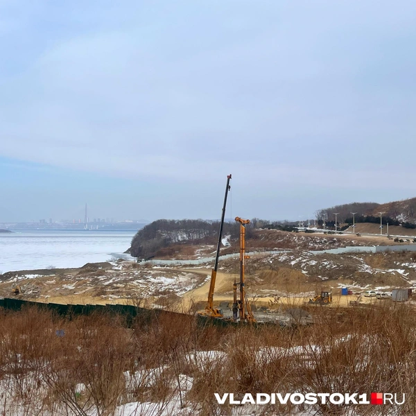 Источник: Елена Буйвол / VLADIVOSTOK1.RU