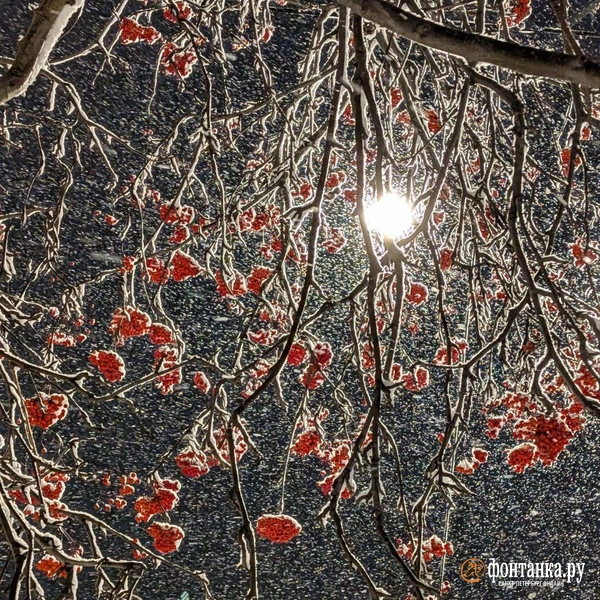 Источник: читатель «Фонтанки»