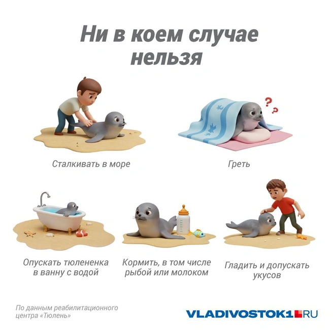 Источник: Полина Авдошина / Городские медиа