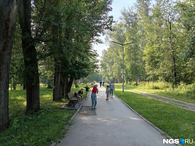 Летом в парке много детей | Источник: Рихарда Лем / NGS.RU