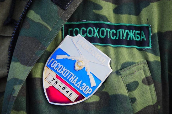Источник: Аркадий Миртов