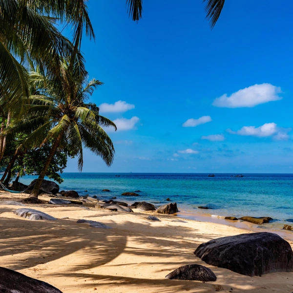 Источник: boivin nicolas/Shutterstock/Fotodom.ru