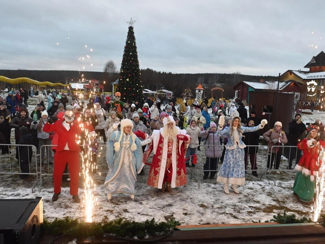 Источник: Дмитрий Емельянов / E1.RU