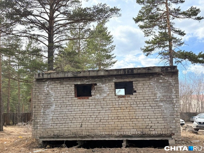 Источник: Егор Захаров / CHITA.RU