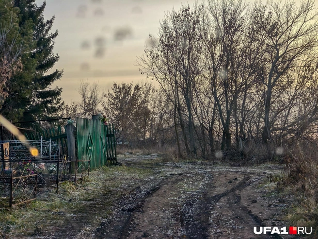Подморозило | Источник: Булат Салихов / UFA1.RU