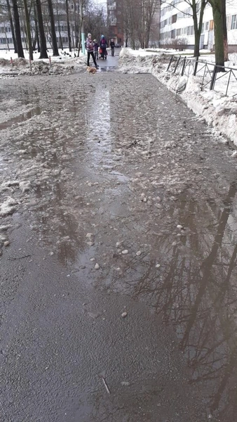 Так можно было? Петербургский дворник Сохиб не стал ждать приказа спасать детсад от потопа (видео, фото) | Источник: Калининский район Санкт-Петербурга