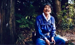 Кино для души: 10 самых медитативных фильмов, которые вернут вам радость жизни