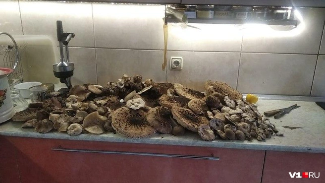 Вы только взгляните на эту гору! | Источник: читатели V1.RU