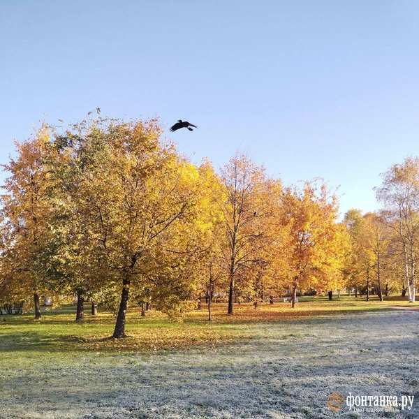 Источник: читатель «Фонтанки»