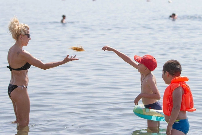 Источник: Анна Хвостова