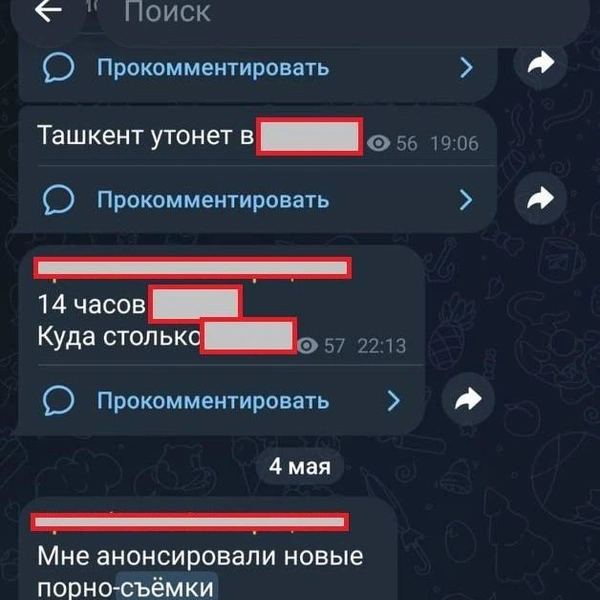 Источник: ТОР / T.me