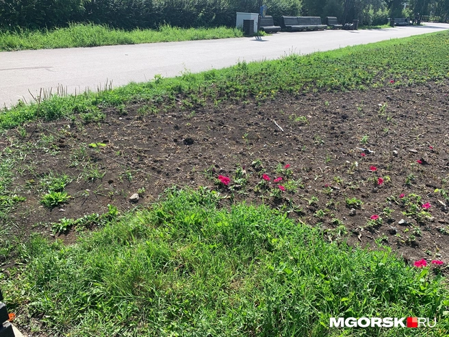 Ожидание и реальность | Источник: Полина Котышева / MGORSK.RU