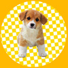 userpic__Наталья 
