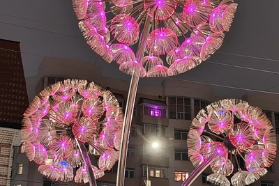 Russian language quiz: Test your grammar in Arkhangelsk region