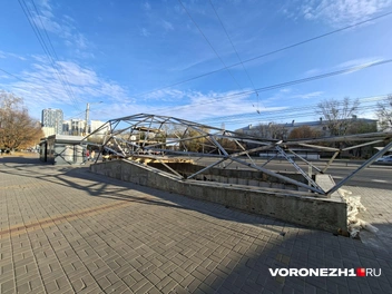 Источник: Алёна Воропаева / Voronezh1.ru