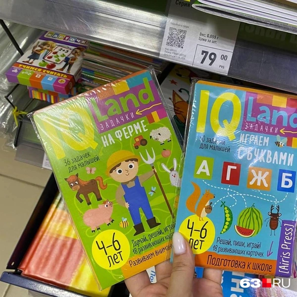 Книжки-развивашки за 79 рублей | Источник: Ксения Бирюкова / 63.RU