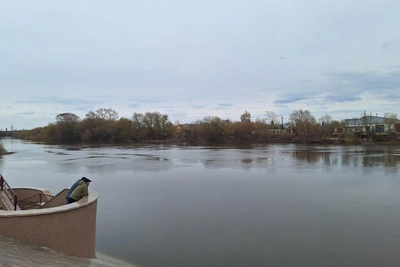 Уровень воды в Тоболе у Кургана медленно снижается