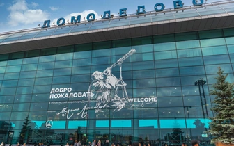 Долги в ₽70 млрд погасят легко: московский аэропорт Домодедово продадут по рыночной цене до конца года