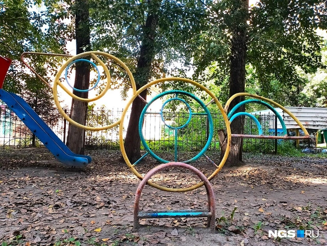 Эта удивительная птица прячется во дворе по адресу Красный проспект, 100/1 | Источник: Рихарда Лем / NGS.RU