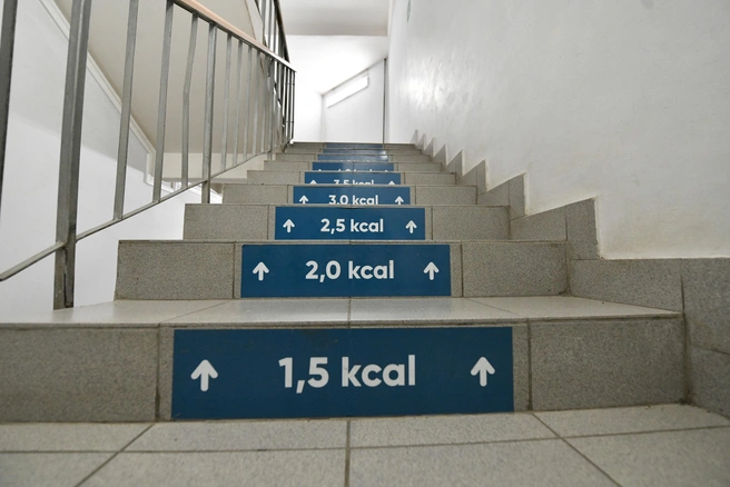 Специалисты рекомендуют совмещать подсчет калорий с физической нагрузкой, хотя бы ходьбой | Источник: Артем Устюжанин / E1.RU