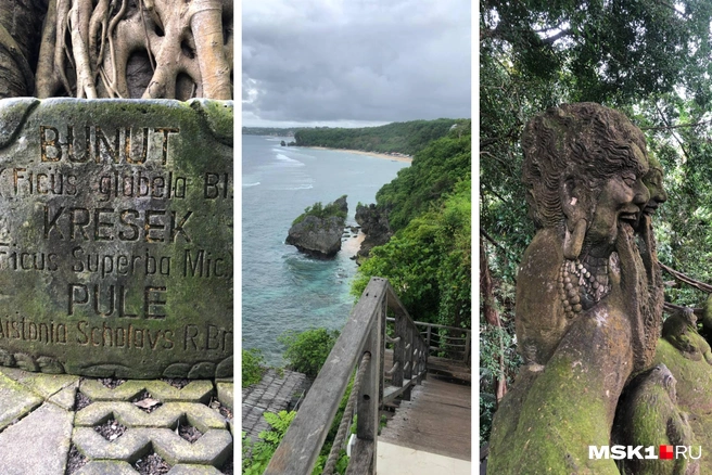 Источник: Андрей И. / MSK1.RU