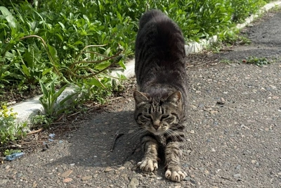 27 апреля в Чите потеплеет до +13 градусов