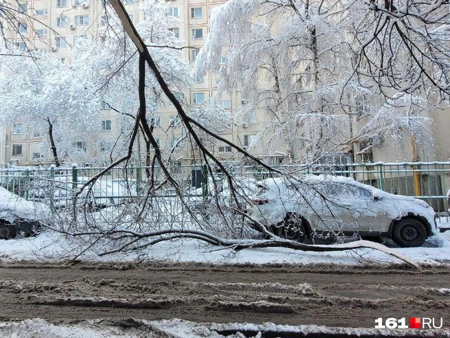 Режим повышенной готовности ввели в Ростове из-за непогоды | Источник: Марина Рыбалкина / 161.RU 