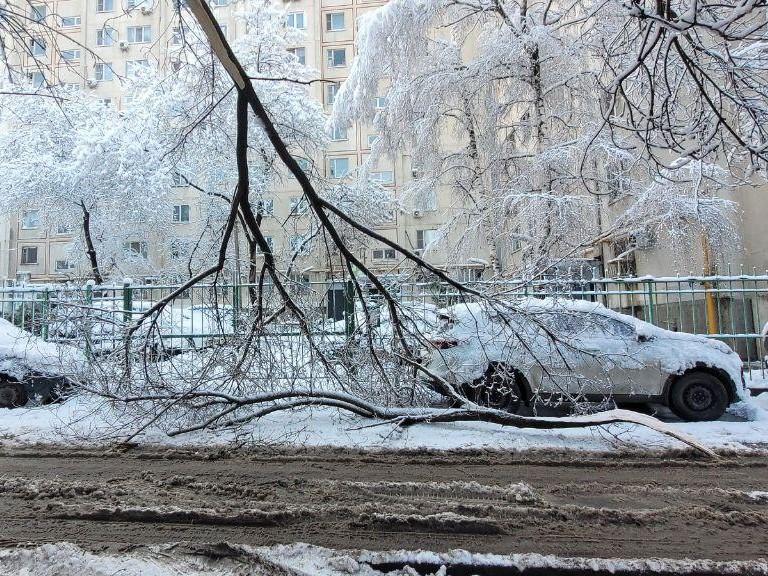 Техника прошла — снова всё в снегу: власти объяснили, почему ростовчанам кажется, что чиновники не работают