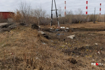 Люди устраивают свалку | Источник: Ирина Шарова / 72.RU