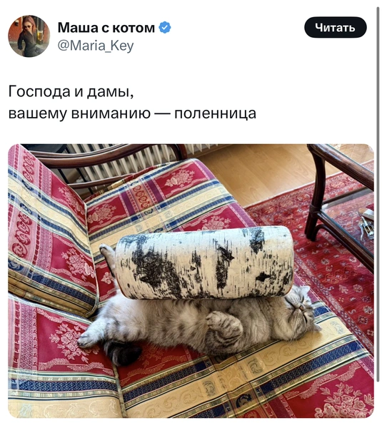 Источник: X (Twitter)