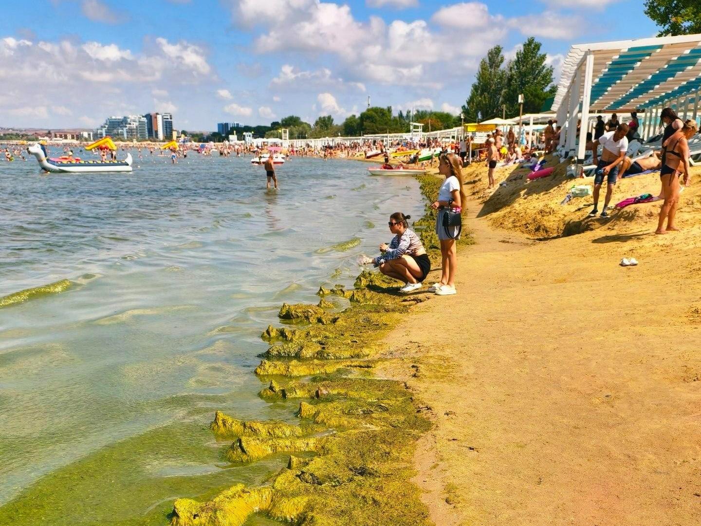 Зеленая жижа, запах и другие подводные камни отдыха в Анапе. Отзыв об отпуске, который оказался почти испорчен