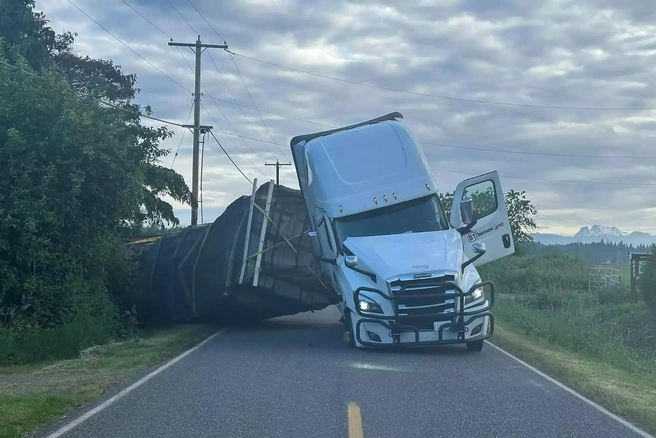 Из-за пчел перекроют дорогу на несколько дней | Источник: Whatcom County Sheriff's Office / Facebook