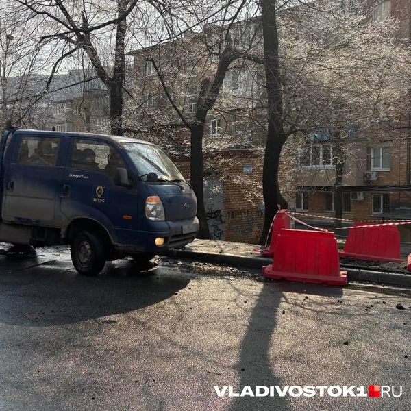 Источник: Елена Буйвол / VLADIVOSTOK1.RU