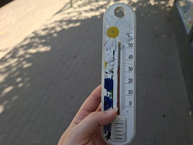 Источник: Алёна Воропаева / Voronezh1.ru