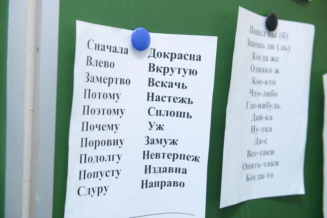 Фото из архива | Источник: Артём Устюжанин / E1.RU