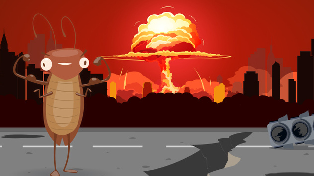 Правда ли что тараканы могут выжить после ядерного взрыва