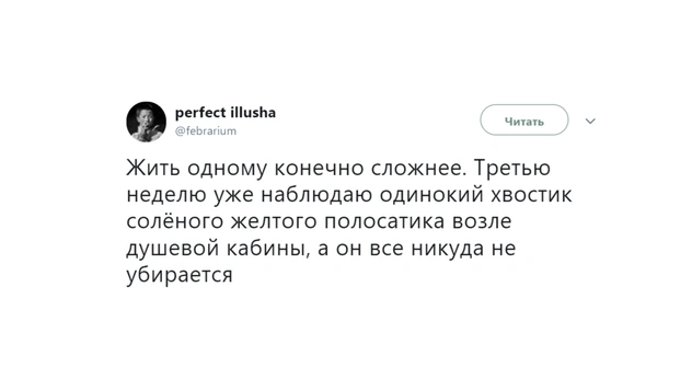 Шутки вторника и Н-видео