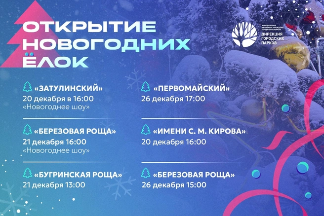 До конца декабря елки откроются во всех парках | Источник: «Дирекция городских парков» / Vk.com