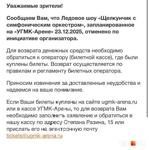 Зрителям сообщили, что организатор отменил выступление по своей инициативе | Источник: читатель E1.RU