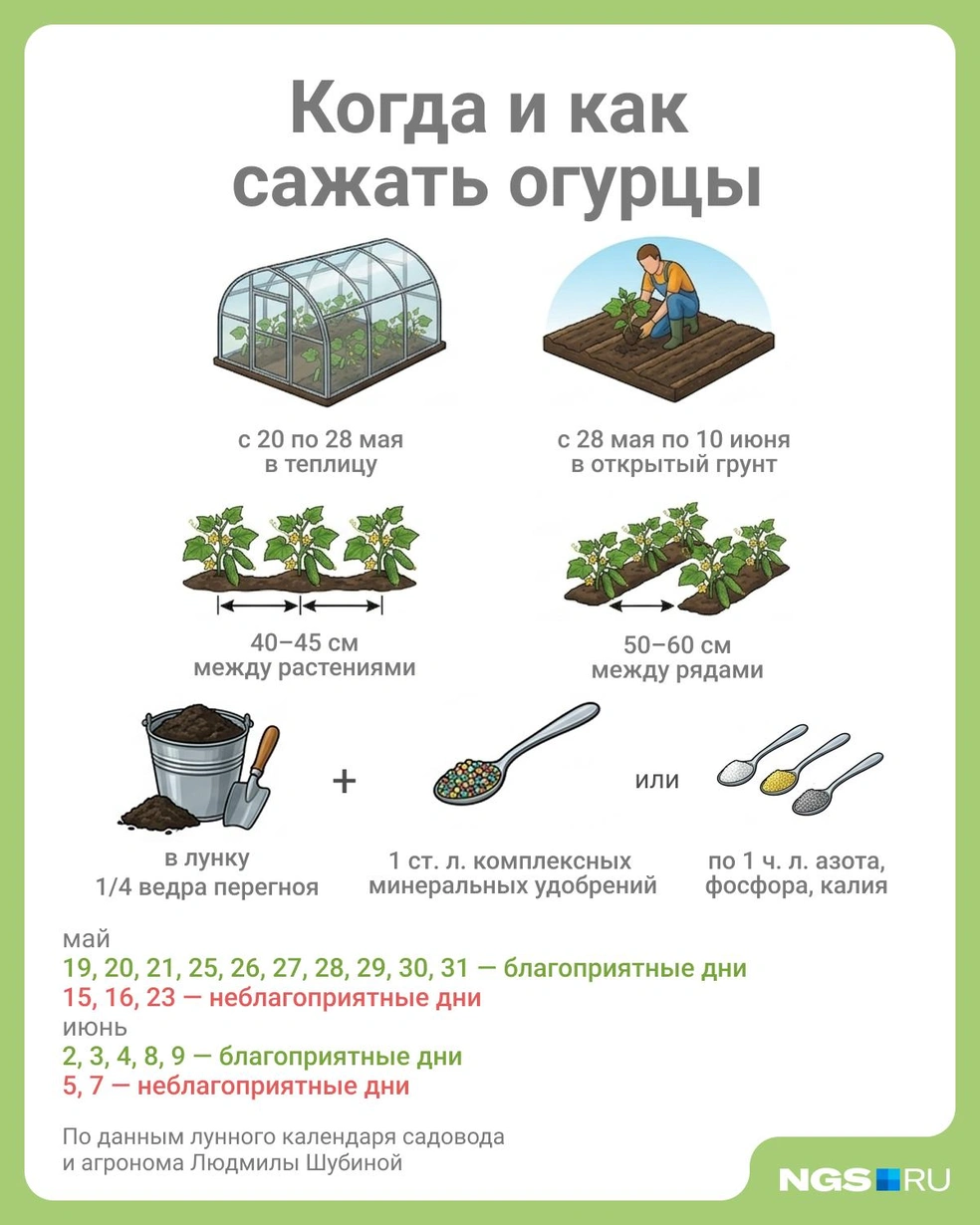 Источник: Юрий Орлов / Городские медиа