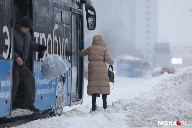 В Москве ожидаются морозы и снегопады | Источник: Дмитрий Толстошеев / MSK1.RU