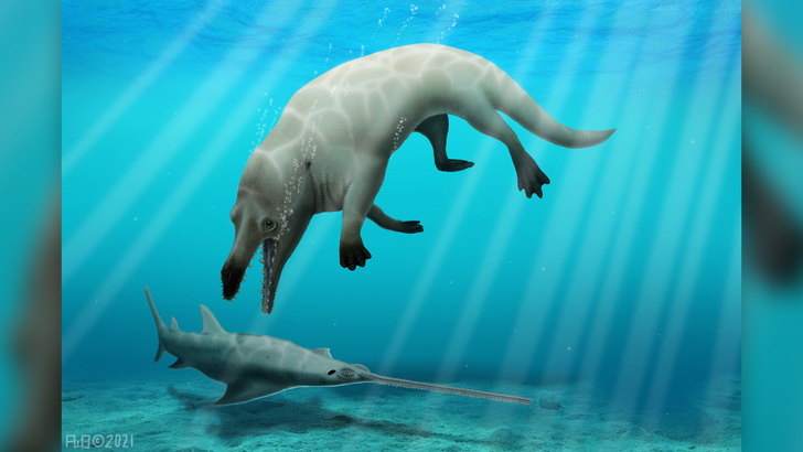 Сухопутного предка китов назвали в честь бога Анубиса
