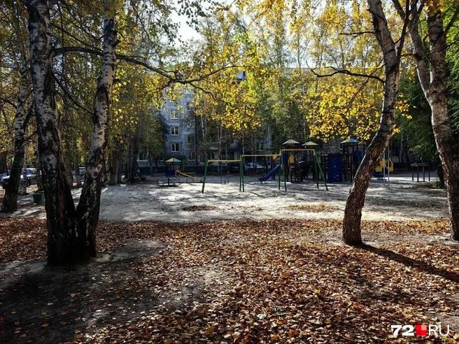 Осенью на Воровского очень красиво | Источник: Павел Красоткин / 72.RU 