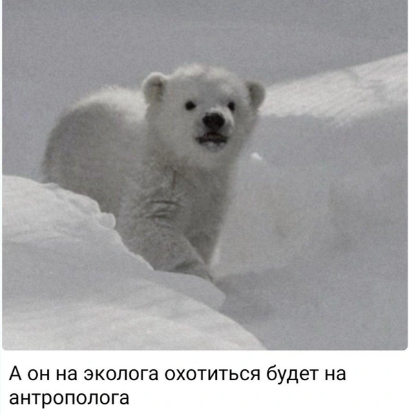Источник: Соцсети