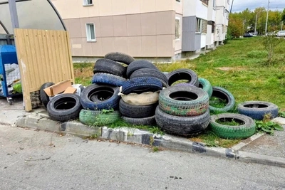 В Южно-Сахалинске предложили поднять штрафы за сброс мусора