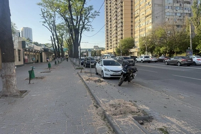 В Ростове у ЦГБ вырубили 57 деревьев: возмущение жителей