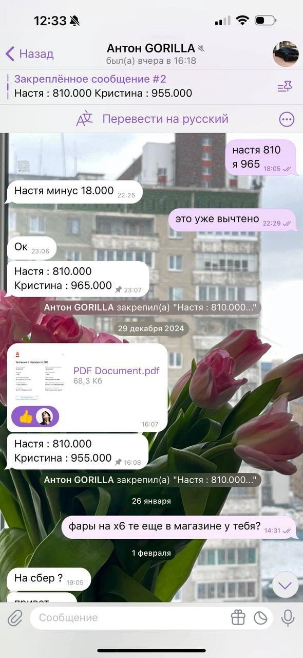 Антон просил девушек делать для него заказы на маркетплейсах (спортивное питание, фары и т. д.), обещая учесть эти деньги при последующих расчетах | Источник: читатель E1.RU