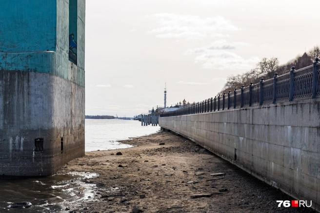 У Октябрьского моста снова обнажилось дно Волги | Источник: Кирилл Поверинов / 76.RU